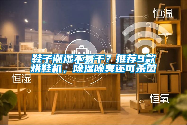 鞋子潮濕不易干？推薦9款烘鞋機，除濕除臭還可殺菌