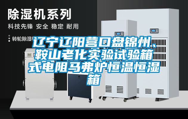 遼寧遼陽營口盤錦州、鞍山老化實驗試驗箱式電阻馬弗爐恒溫恒濕箱