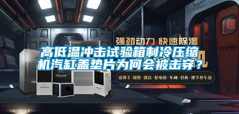 高低溫沖擊試驗箱制冷壓縮機汽缸蓋墊片為何會被擊穿？