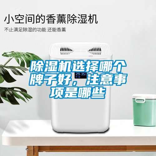 除濕機(jī)選擇哪個(gè)牌子好，注意事項(xiàng)是哪些