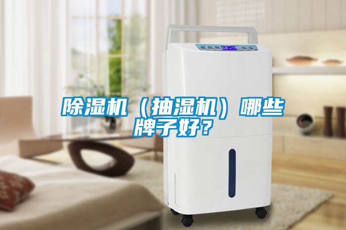 除濕機（抽濕機）哪些牌子好？