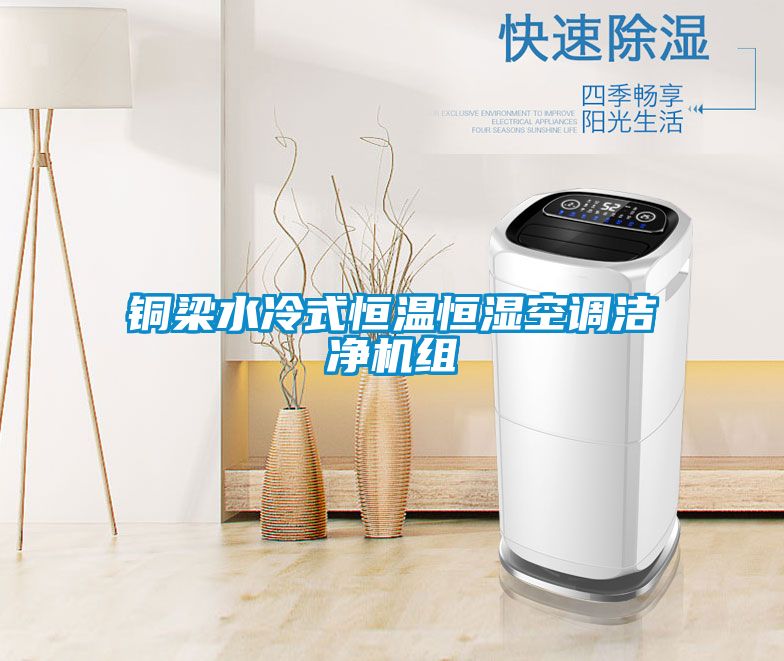 銅梁水冷式恒溫恒濕空調(diào)潔凈機(jī)組