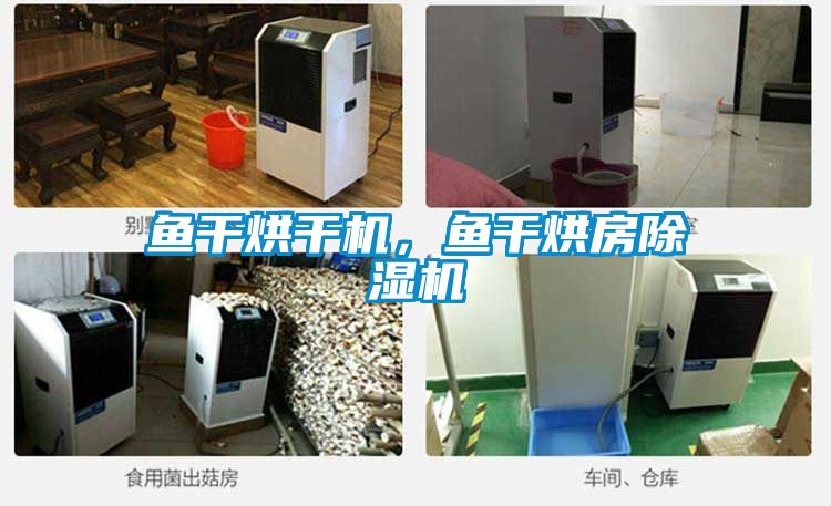 魚干烘干機，魚干烘房除濕機