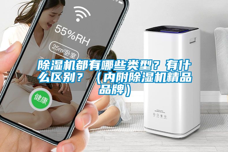 除濕機(jī)都有哪些類型？有什么區(qū)別？（內(nèi)附除濕機(jī)精品品牌）