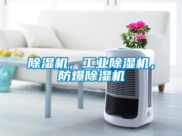除濕機，工業(yè)除濕機，防爆除濕機