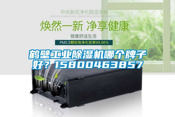 鶴壁工業(yè)除濕機(jī)哪個(gè)牌子好？15800463857