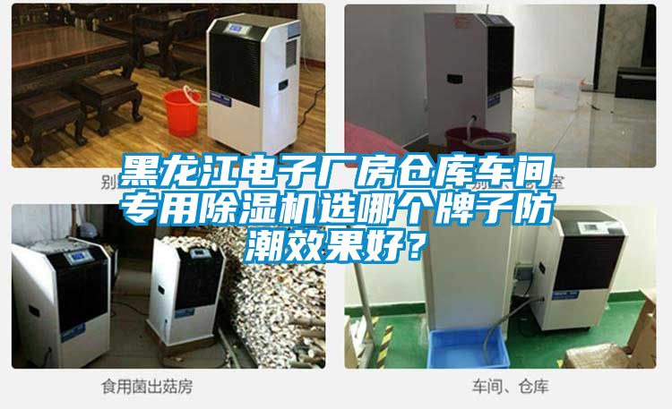 黑龍江電子廠房倉(cāng)庫(kù)車(chē)間專(zhuān)用除濕機(jī)選哪個(gè)牌子防潮效果好？