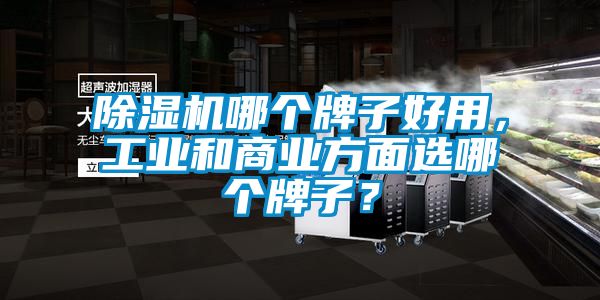除濕機(jī)哪個(gè)牌子好用，工業(yè)和商業(yè)方面選哪個(gè)牌子？