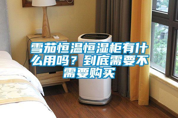 雪茄恒溫恒濕柜有什么用嗎？到底需要不需要購買