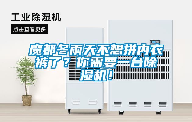 魔都冬雨天不想拼內衣褲了？你需要一臺除濕機！