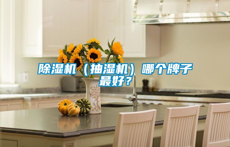 除濕機(jī)（抽濕機(jī)）哪個(gè)牌子最好？