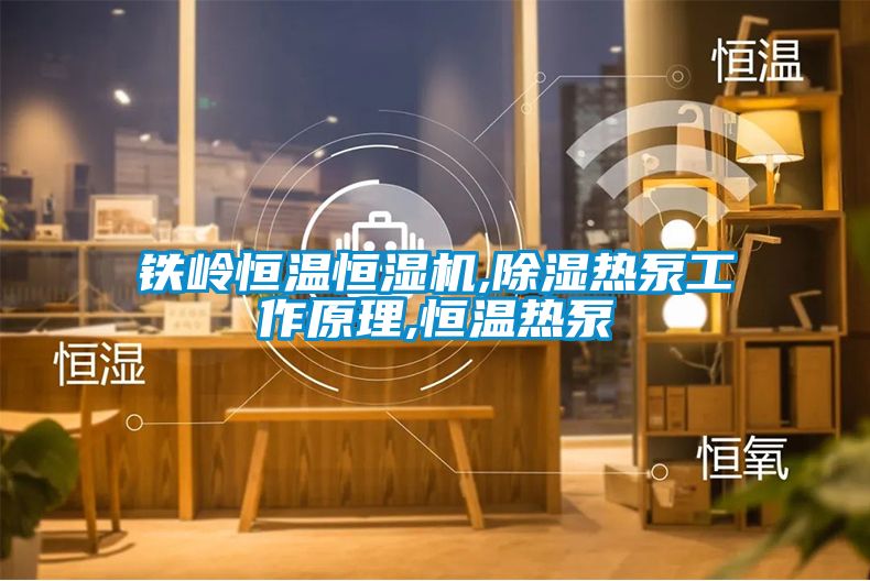 鐵嶺恒溫恒濕機(jī),除濕熱泵工作原理,恒溫?zé)岜?/></p>
						    <p style=