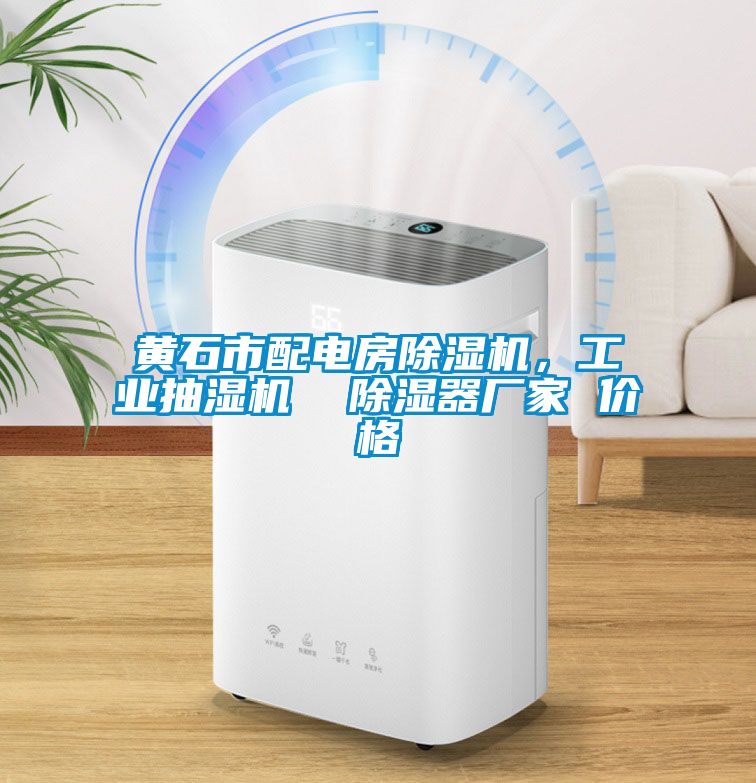 黃石市配電房除濕機(jī)，工業(yè)抽濕機(jī)  除濕器廠家 價(jià)格