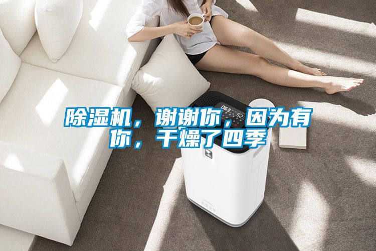 除濕機，謝謝你，因為有你，干燥了四季
