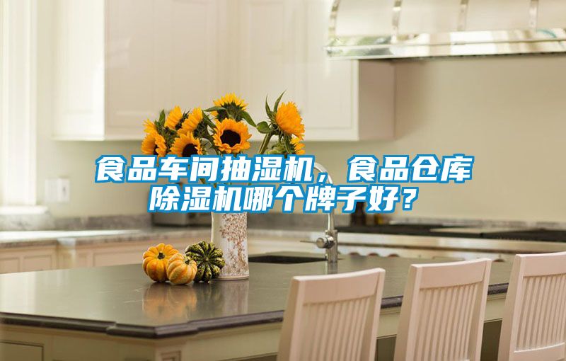 食品車間抽濕機(jī)，食品倉庫除濕機(jī)哪個(gè)牌子好？