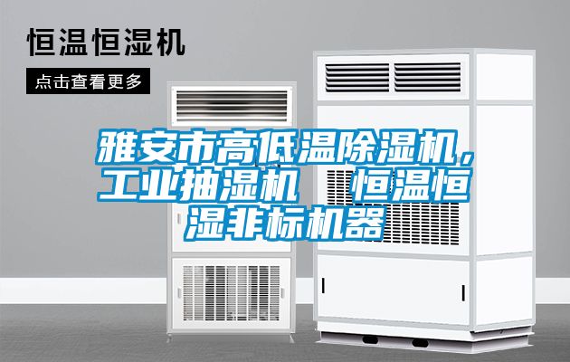雅安市高低溫除濕機(jī)，工業(yè)抽濕機(jī)  恒溫恒濕非標(biāo)機(jī)器