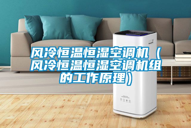 風冷恒溫恒濕空調(diào)機（風冷恒溫恒濕空調(diào)機組的工作原理）
