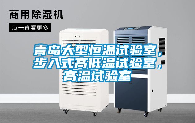 青島大型恒溫試驗(yàn)室，步入式高低溫試驗(yàn)室，高溫試驗(yàn)室