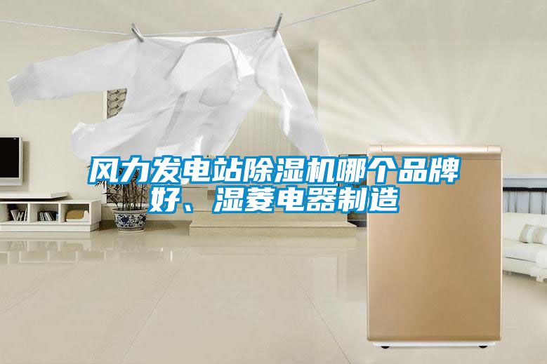 風(fēng)力發(fā)電站除濕機(jī)哪個品牌好、濕菱電器制造