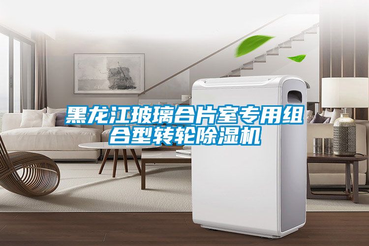 黑龍江玻璃合片室專(zhuān)用組合型轉(zhuǎn)輪除濕機(jī)