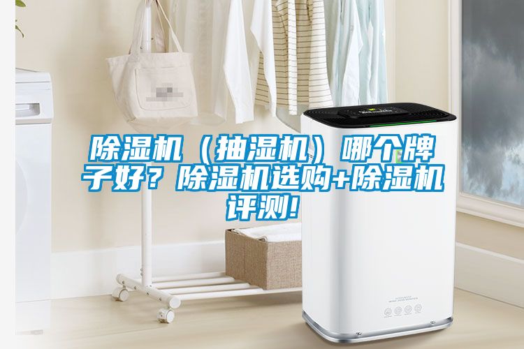 除濕機(jī)（抽濕機(jī)）哪個(gè)牌子好？除濕機(jī)選購(gòu)+除濕機(jī)評(píng)測(cè)!
