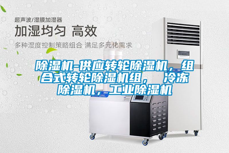 除濕機-供應(yīng)轉(zhuǎn)輪除濕機，組合式轉(zhuǎn)輪除濕機組， 冷凍除濕機，工業(yè)除濕機