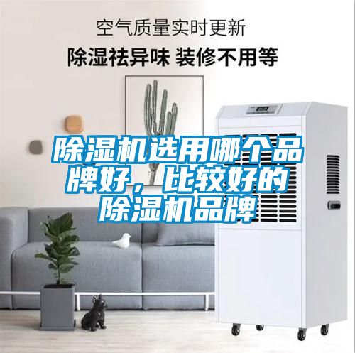 除濕機(jī)選用哪個(gè)品牌好，比較好的除濕機(jī)品牌