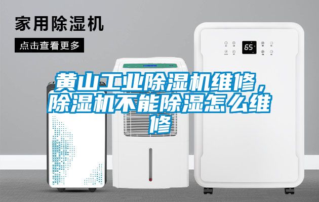 黃山工業(yè)除濕機(jī)維修，除濕機(jī)不能除濕怎么維修