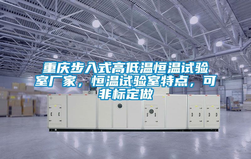 重慶步入式高低溫恒溫試驗(yàn)室廠家，恒溫試驗(yàn)室特點(diǎn)，可非標(biāo)定做