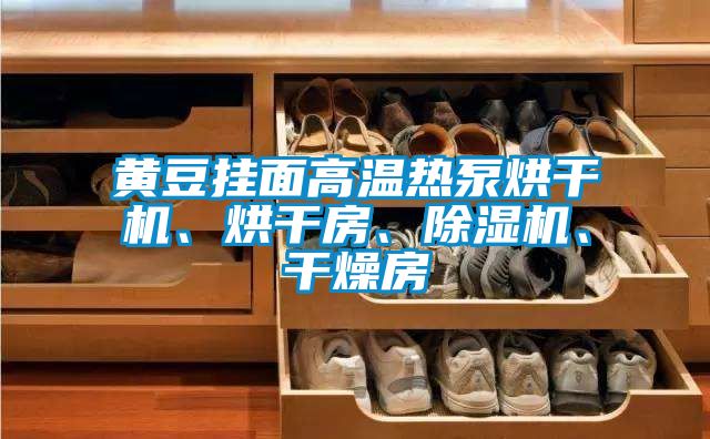 黃豆掛面高溫?zé)岜煤娓蓹C、烘干房、除濕機、干燥房