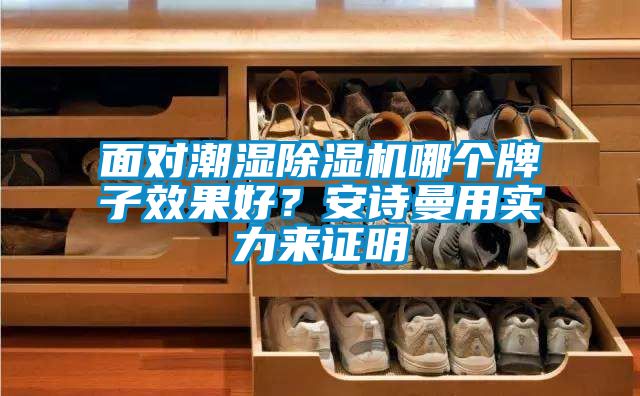 面對潮濕除濕機(jī)哪個牌子效果好？安詩曼用實力來證明