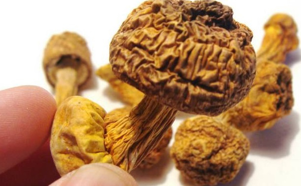 巴西菇、姬松茸烘干機(jī)-怎樣烘干色澤好且菇體褶片完整？