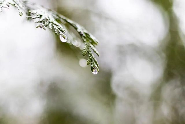 空氣濕度大帶來(lái)的危害有哪些，你知道嗎？