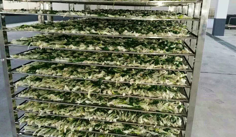 菜干需求一直都很大，蔬菜烘干機(jī)很有市場(chǎng)