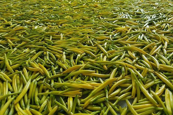 無(wú)硫金針菜烘干如何保持品相？不發(fā)黑？