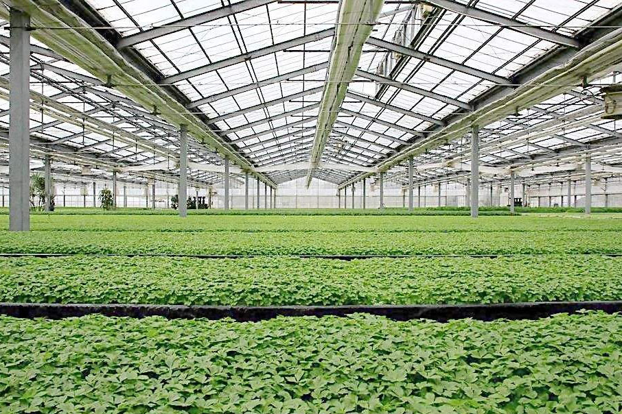 除濕器如何解決高濕度、多種危害的溫室除濕問(wèn)題？